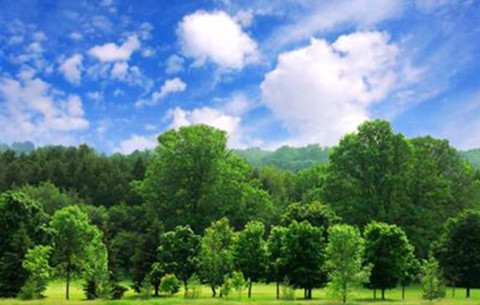 中央生态环保督察组转办第十二批环境信访举报问题查处整改情况公开