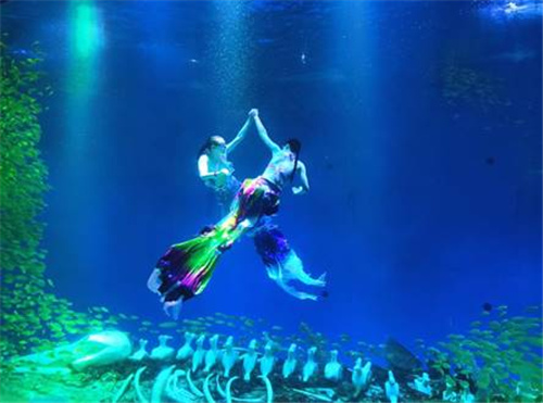 合肥海洋世界“五一”五大惊喜来袭