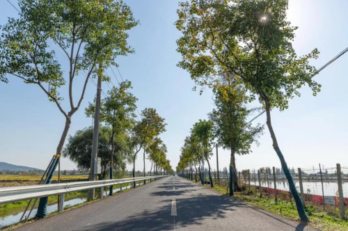 “五一”假期 南京市文旅市场获强劲复苏 