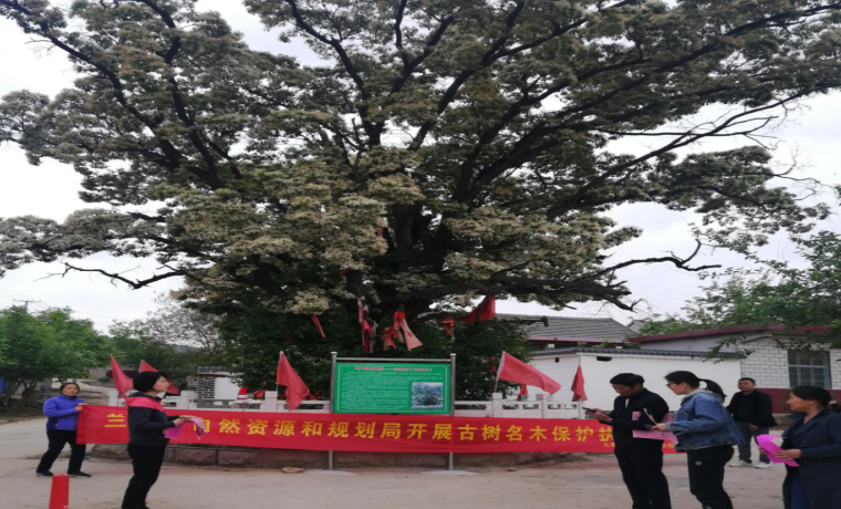 兰陵县林业普法宣传一直在路上