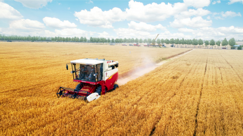 潍柴雷沃重工服务护航三夏丰收