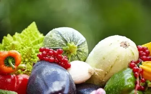 上海“从田头到餐桌”全产业链发展品牌农业