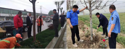 兰陵县磨山镇：环境整治正当时，共建美丽大家园