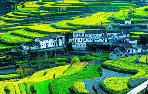 安徽旅游发布“红黑榜”