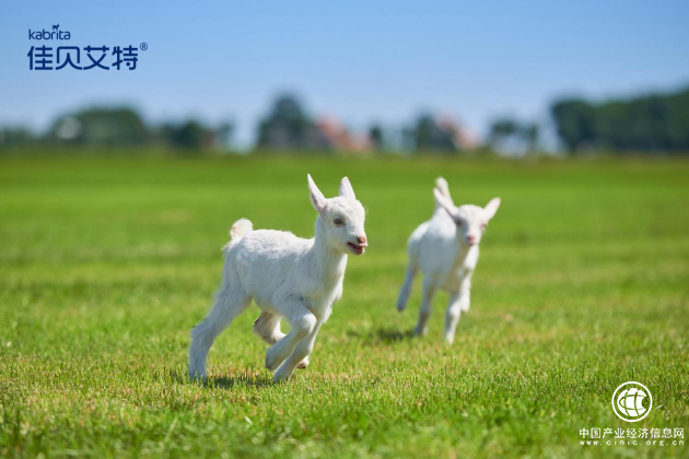 羊奶粉好在哪？领军企业佳贝艾特告诉你答案