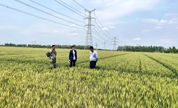 奋进新时代 工行深观察||工行聊城分行以金融“活水”浇灌小微企业