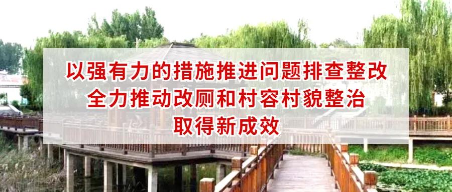 提升群众满意度，于胜涛就全区农村改厕规范升级工作情况现场办公