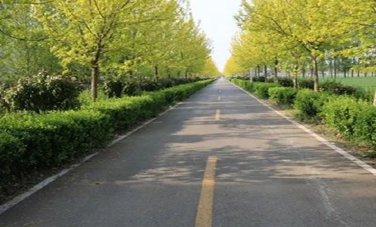 【学党史•办实事 】漕河镇全域整治环境，展现新面貌