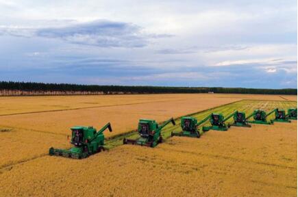 从“园”到“链”——探营黑龙江省内首个粮食流通产业园