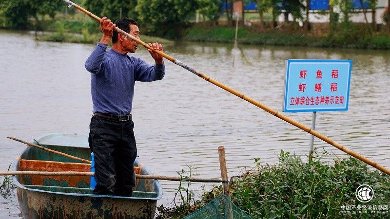 是什么让金星老师“嗦”不释手？良品铺子x虾皇联名油焖大虾热销618