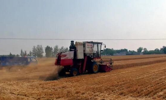 颗粒归仓 济宁嘉祥68.2万亩小麦收获完毕
