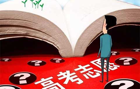 高考志愿如何填报