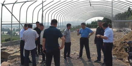市林业局领导来兰陵督导检查工作
