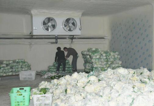 陕西省加快推进农产品产地冷藏保鲜设施建设