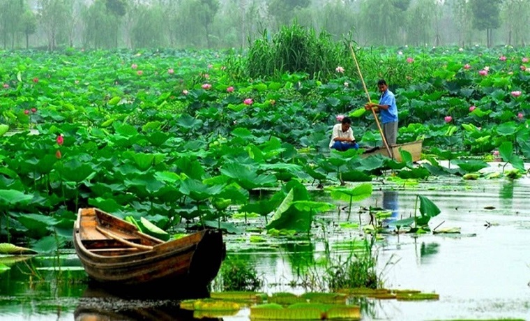 济宁微山湖：讲好红色文化故事 争创国家5A级景区