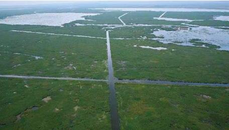 内蒙古乌梁素海流域保护修复入选10个中国特色生态修复典型案例