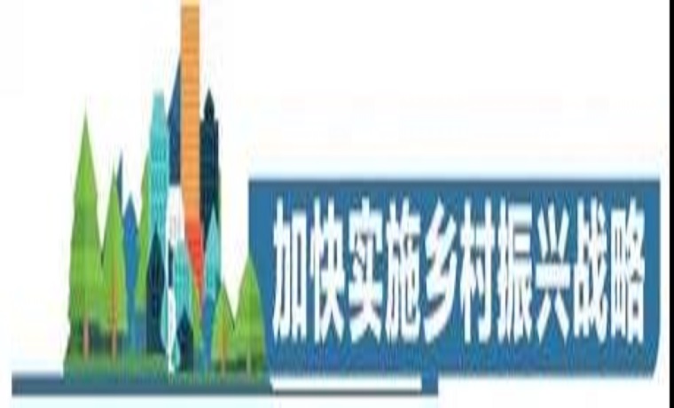 上半年济宁市新增农业信贷担保额27.21亿元——山东农担济宁管理中心持续为乡村振兴注入强劲动能