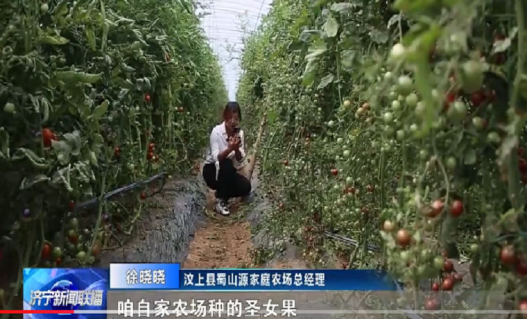 不忘初心 牢记使命 | 徐晓晓：致富路上的“领头雁”