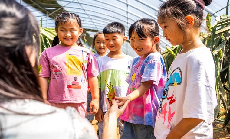 济宁曲阜：边学边“玩”，千名农村娃“暑”有所托