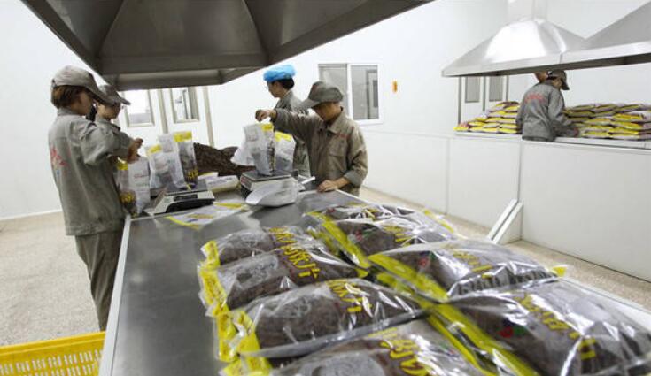 云南省中医药产业集群逐步形成