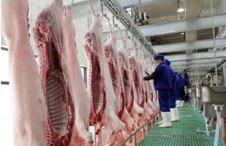 扎牢生猪屠宰管理的制度“笼子”