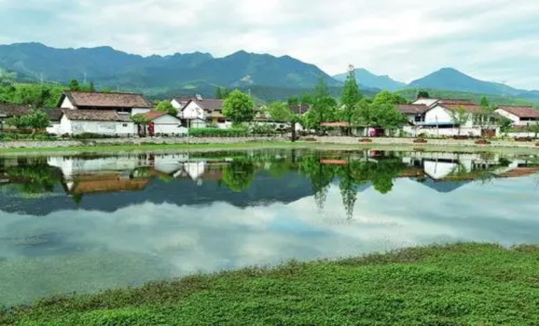 双基攻坚 | 济宁任城区抓实“五联五促” 做好建制优化村融合文章