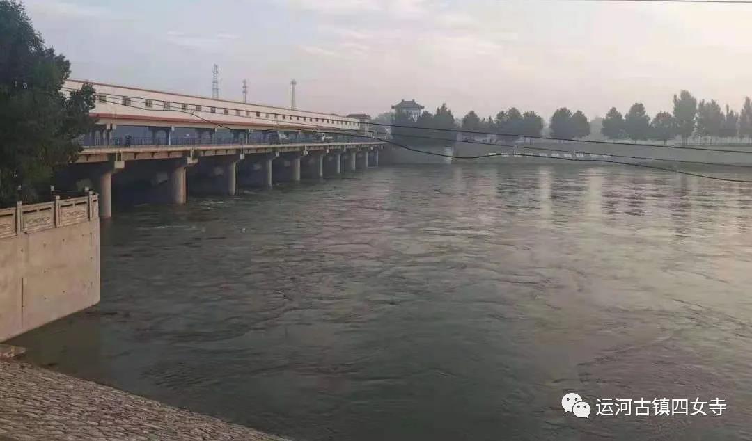 四女寺镇：同心共筑“安全堤”众志成城保安澜