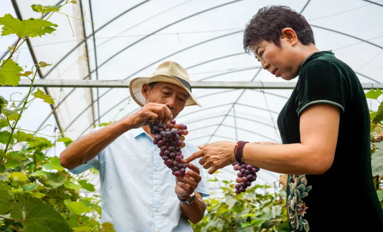 青山绿水，滋养济宁泗水滨好食材