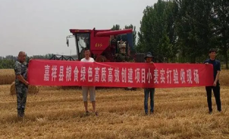 助力粮食绿色高质高效创建，济宁嘉祥深入推进涉农资金统筹整合