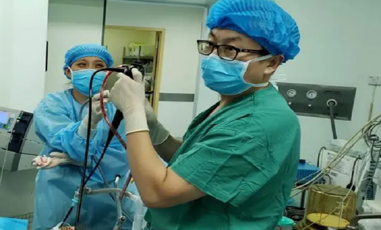 济医附院呼吸与危重症医学科成功开展气道肿瘤切除术及Y型气管覆膜支架植入术