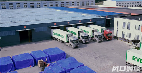 进出口总值贡献66.6%，青岛民企凭什么？