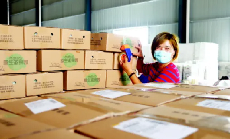 济宁鱼台县畅通农民致富路 “流量经济”赋能乡村振兴