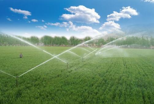 水利部 国家发展改革委正式印发实施“十四五”重大农业节水供水工程实施方案