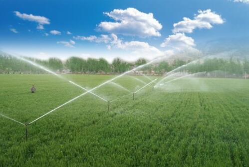 农业节水潜力有多大？面临哪些困难？