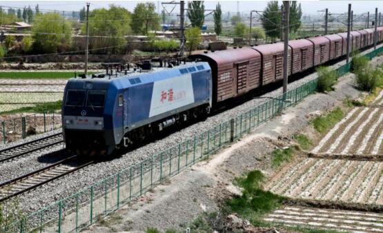 青海：点准“穴位”打通外贸“经络”