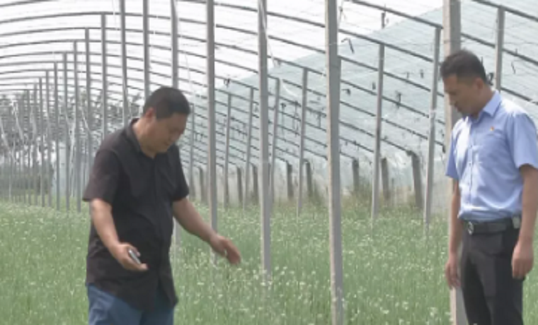 济宁嘉祥农商银行：金融干部到基层 乡村振兴“新路径”