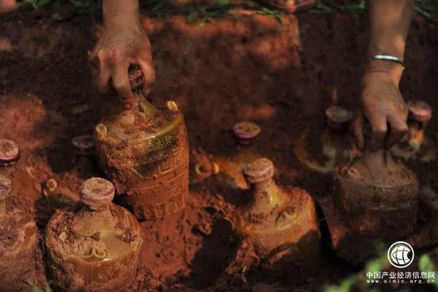 酒香易逝，酒魂永存——大地魂酒