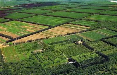 内蒙古：四方面发力促进形成耕地保护新格局