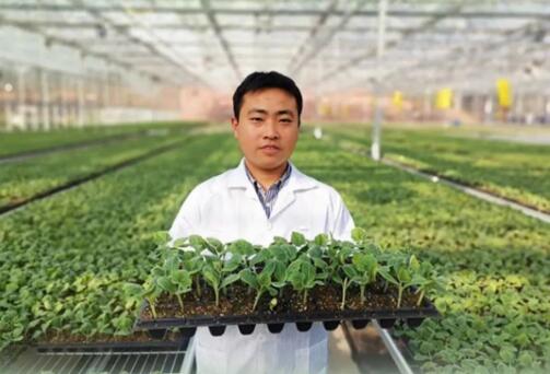 重庆出台26条措施加速乡村人才振兴