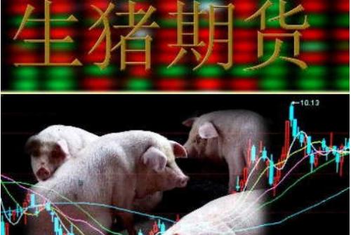 养猪业持续亏损 生猪期货如何“兜底”