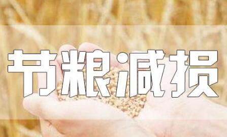 粮食丰收后，如何再增产？节粮减损可再造“无形良田”