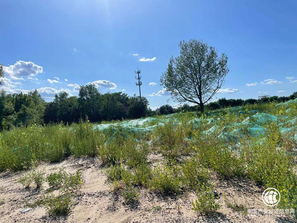 拆除后的七棵树高尔夫球场 拆除后的七棵树高尔夫球场