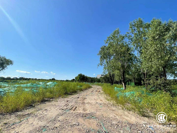 拆除后的七棵树高尔夫球场 拆除后的七棵树高尔夫球场