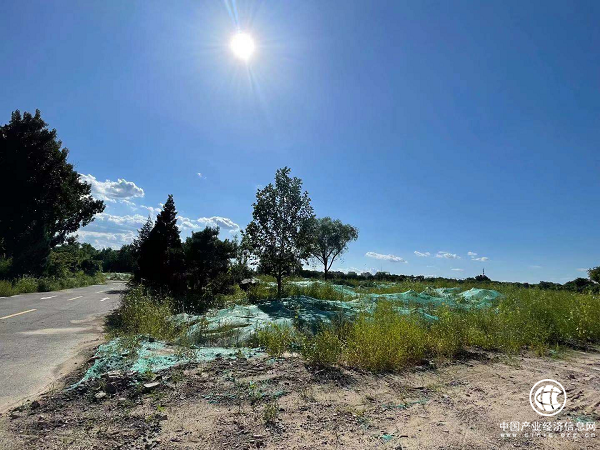 拆除后的七棵树高尔夫球场 拆除后的七棵树高尔夫球场