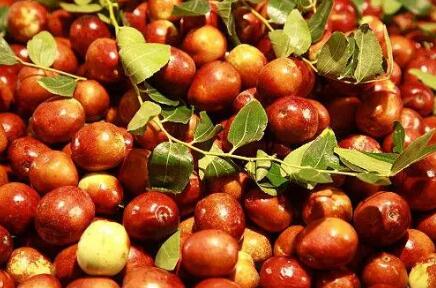 前8月山西鲜枣出口273.83万美元 同比增长360.7%