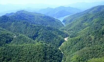 安徽省林业保护发展“十四五”规划印发实施