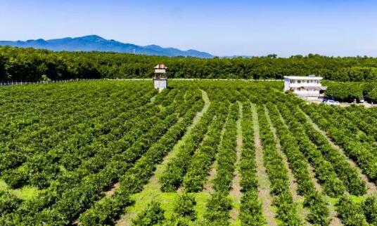 海南七部门联合发布意见 鼓励金融支持新型农业经营主体发展