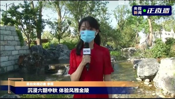 跟随央视逛金陵小城！看拈花湾文旅如何诠释“千年风雅”