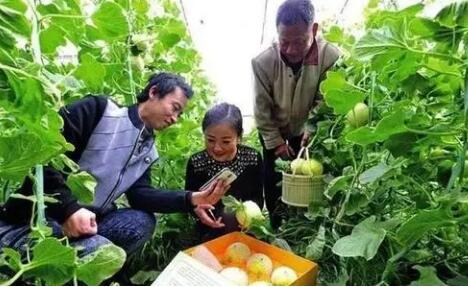 消费品零售额增速连续8年快于城镇 乡村消费势头好劲头足