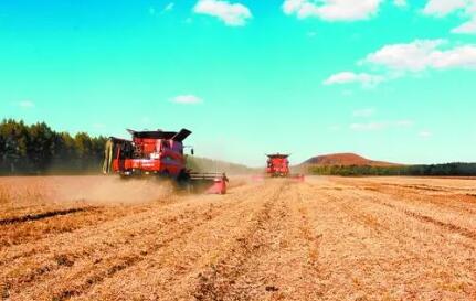 今年全国秋粮丰收在望
